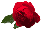 rose9.gif (3678 bytes)