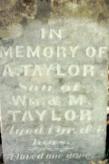 a_taylor2.jpg (36806 bytes)