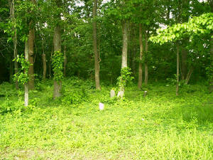 view2_delassus_cemetery_may2005sm.jpg (27050 bytes)