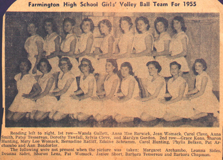 volleyball_farmington_1955.jpg (159209 bytes)