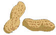 peanut.jpg (2200 bytes)