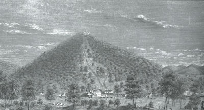 pilotknob_1855.jpg (19845 bytes)